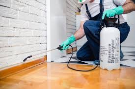 Best Residential Pest Control  in Westwego, LA